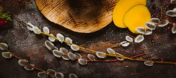 Salic Caprea Plant With Wooden Piece And Mango On Rustic Background