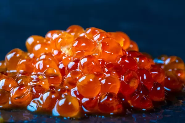 Salted red caviar close-up