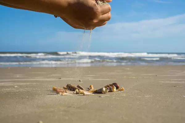 Sand rieselt auf Muscheln am Strand in Vietnam