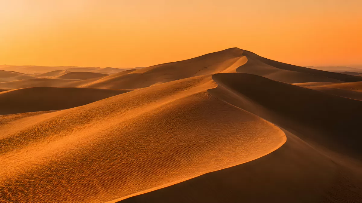 Sanddünen in der Abendsonne der Wüste