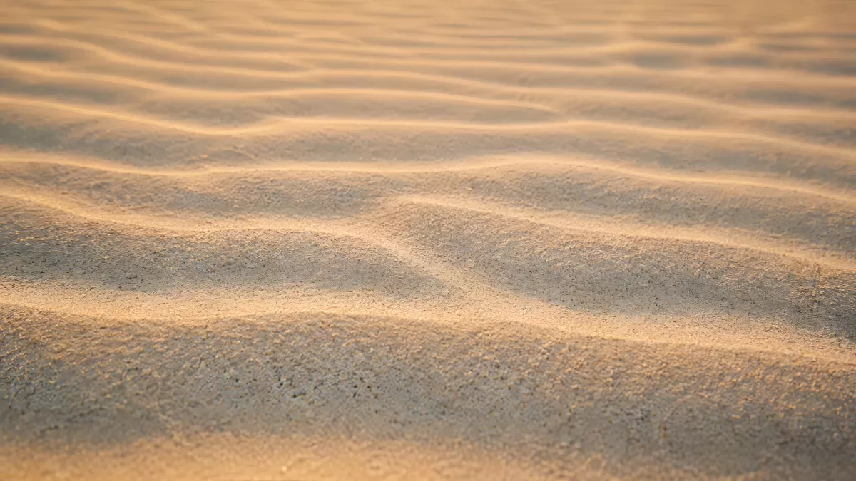 Sanddünen mit Wellenmuster in warmer Wüstenlandschaft