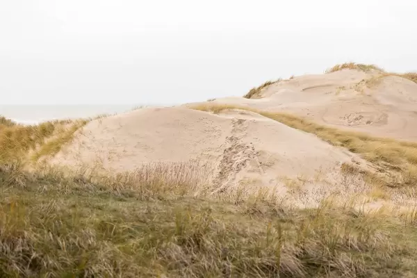 Sanddünen am Strand in Camperduin, Niederlande