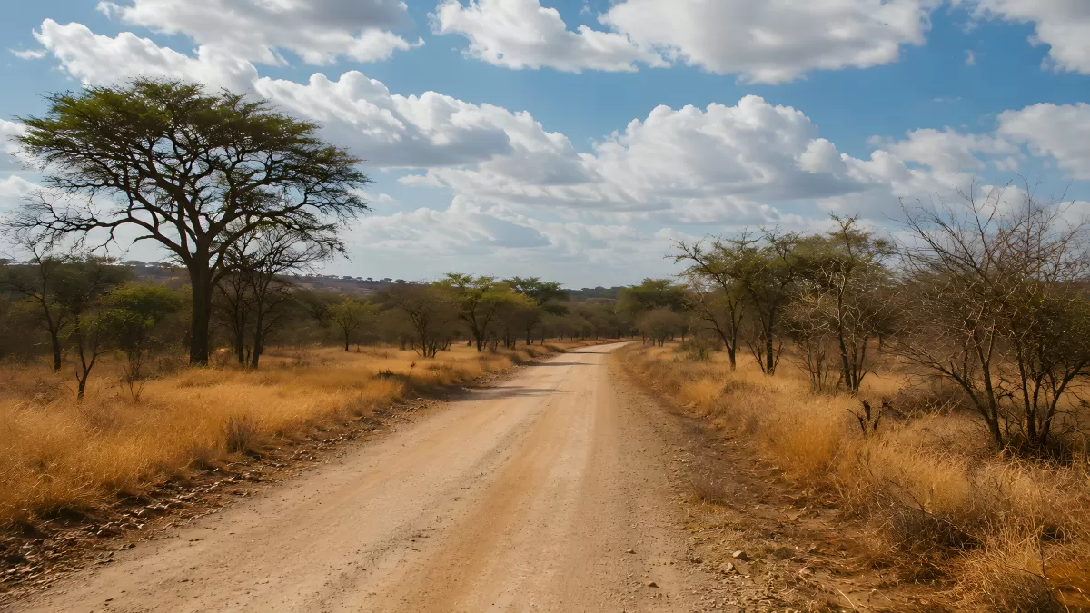 Sandpiste durch afrikanische Savanne mit Akazien