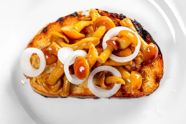 Sandwich with pickled mushrooms and onions.Top view (Flip 2019)