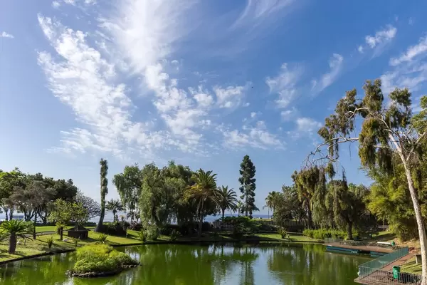 Santa Catarina Park in Funchal, Madeira