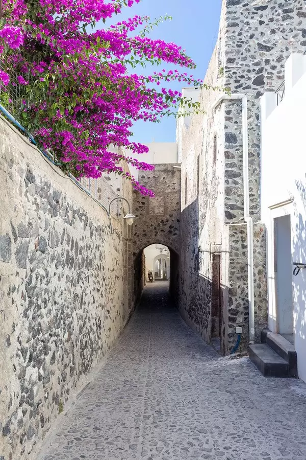 Santorin: typische Gasse mit traditionell gebauten Steinhäusern, Mauer und Bougainvillea