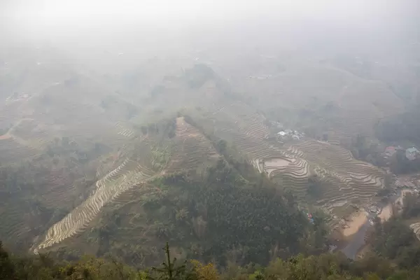 Sapa Rice fiel in the fog .CR2