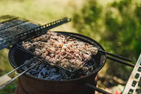Saslik Grill Picnic Outdoors.