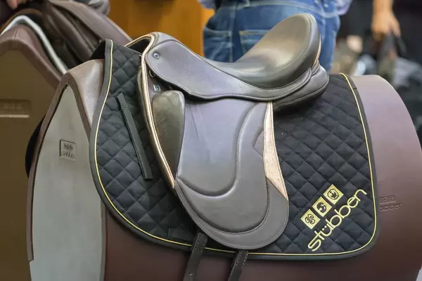 Sattel und Satteldecke von Stübben