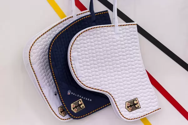 Satteldecke mit deutschem Adler und Wappen von Waldhausen