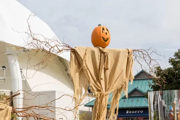 Schaurige Vogelscheuche mit Kürbiskopf zum Halloweenfest