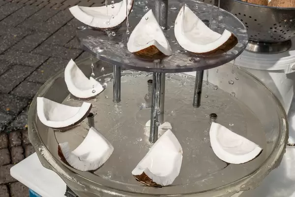 Scheiben von Kokosfleisch