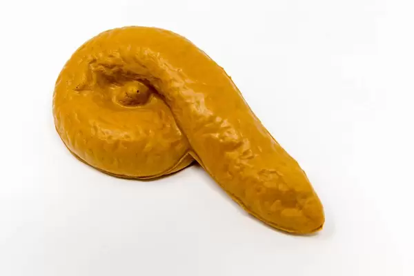 Scherzartikel: Ein falscher Haufen Hundekot