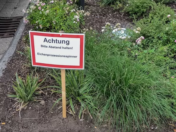 Schild warnt vor Eichen-Prozessionsspinner