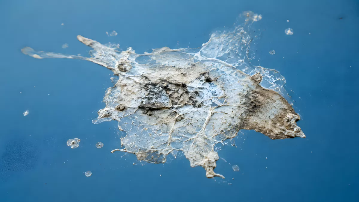 Schmutziger Wasserfilm auf blauer Oberfläche