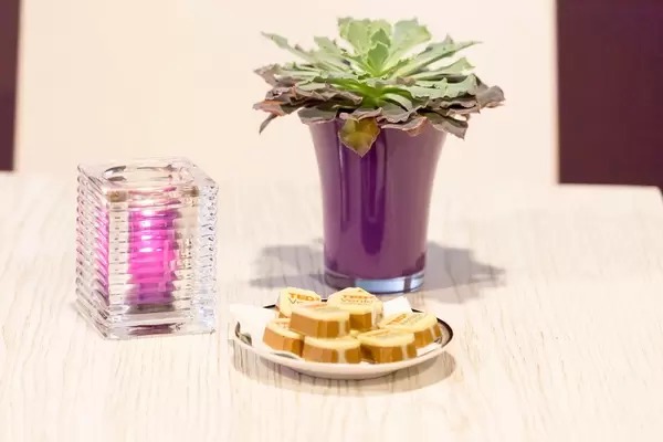 Schokolade, Duftkerze und Topfpflanze - TEDxVenlo 2017