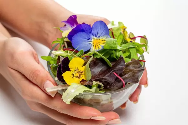 Schüssel mit Salatblätter, Arugula und Blumen in weiblicher Hand