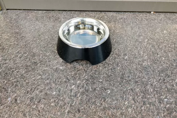 Schwarzer Futternapf