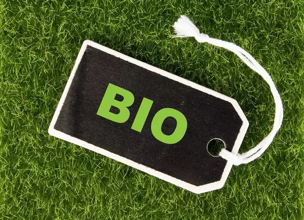 Schwarzes Preisschild mit grüner Aufschrift BIO auf leuchtend grüner Wiese