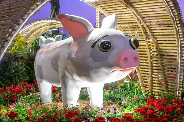 Schweinefigur mit traurigem Blick auf Blumen unter Bambusbogen in Ho Chi Minh City, Vietnam
