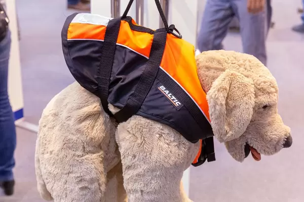 Schwimmweste für Hunde verhindert Ertrinken bei Bootsfahrten – demonstriert an Stoffhund