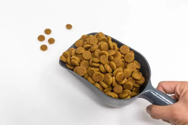 Science Plan Hundefutter von Hill's: Hand hält eine Futterschaufel voll mit Canine Senior Large Breed 5+ Huhn vor weißem Hintergrund