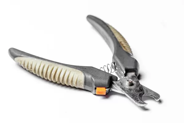 Scissors for claws for pets (dogs, cats, rabbits) on white (Flip 2020)