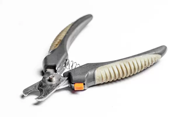 Scissors for claws for pets (dogs, cats, rabbits) on white