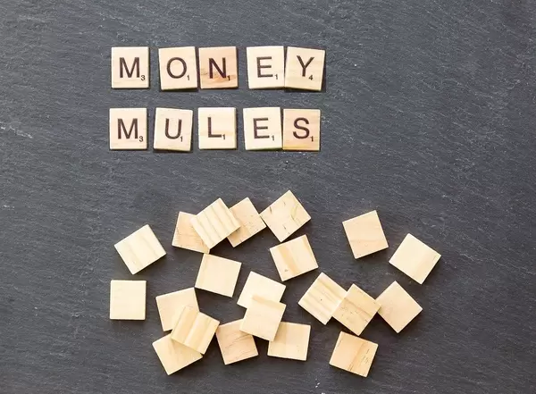Scrabble Stones Money Mules