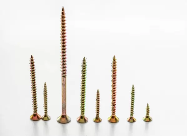Screws of different sizes on a white background