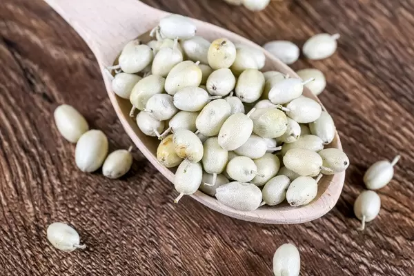 Sea buckthorn berries in a wooden spoon on a brown wooden background