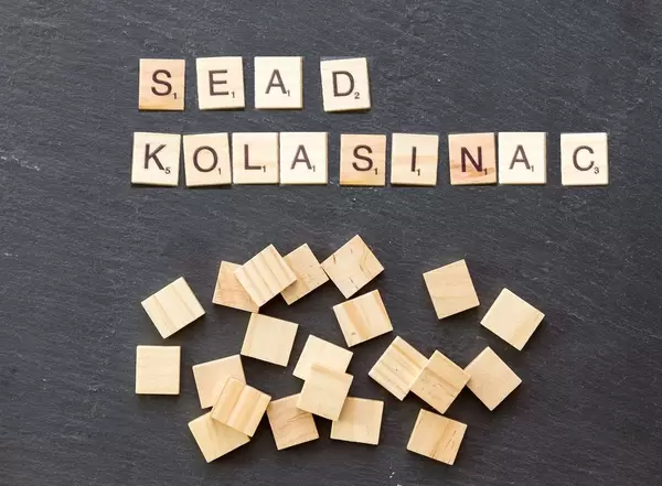 Sead Kolašinac