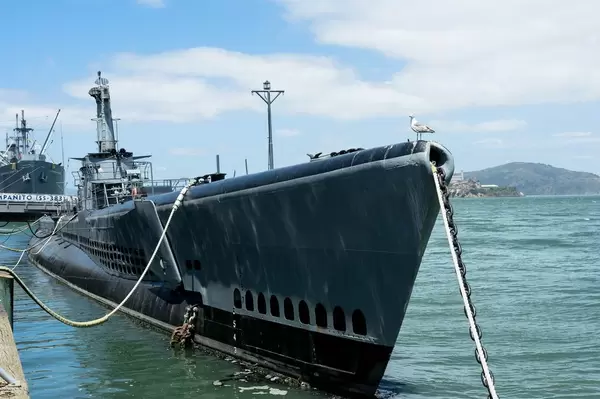 Seagull standing in the famous USS Pampanito submarine