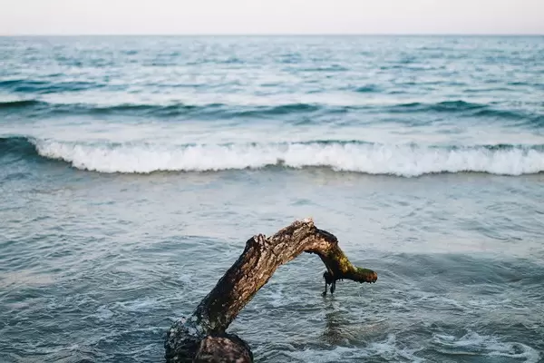 Seelandschaft mit Holzblock