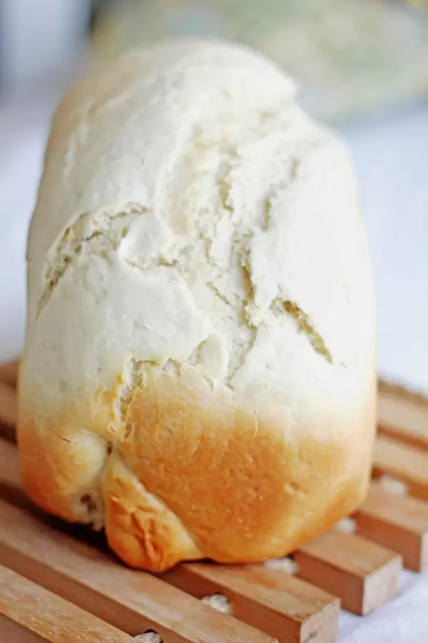 Selbstgemachtes Brot