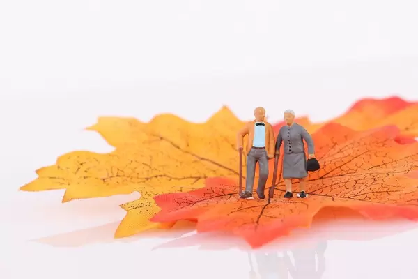Senior couple standing on autumn leaf
