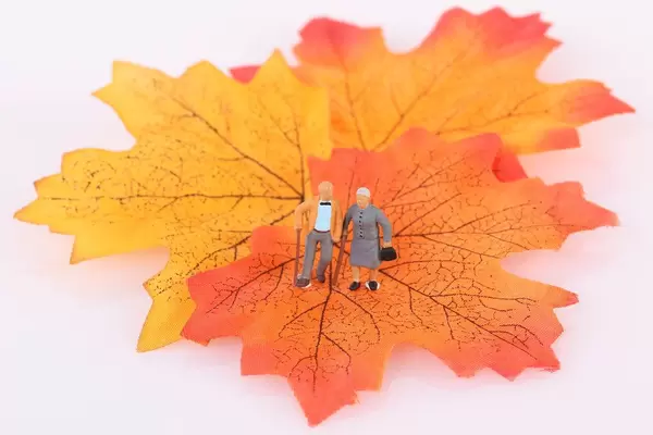 Senior couple with autumn leaf