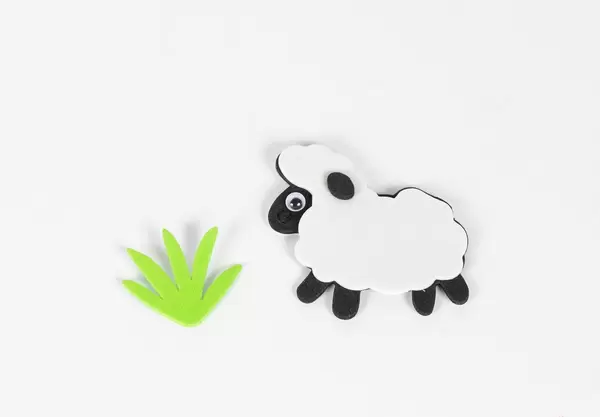 Sheep with grass
