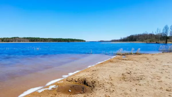 Shore of the beautiful lake