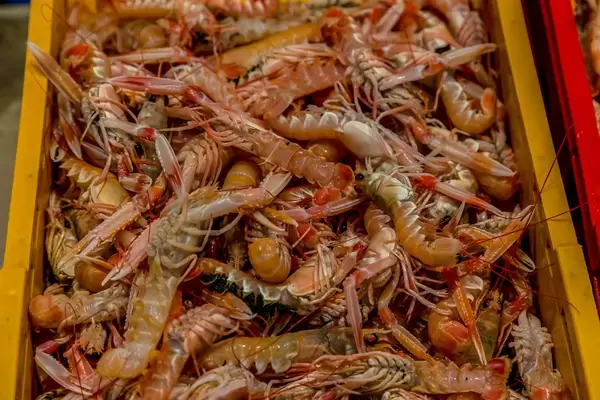 Shrimps on fish market