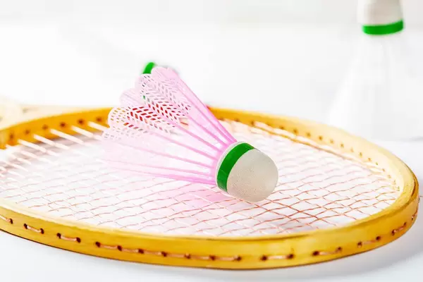 Shuttlecock located on a badminton racket.