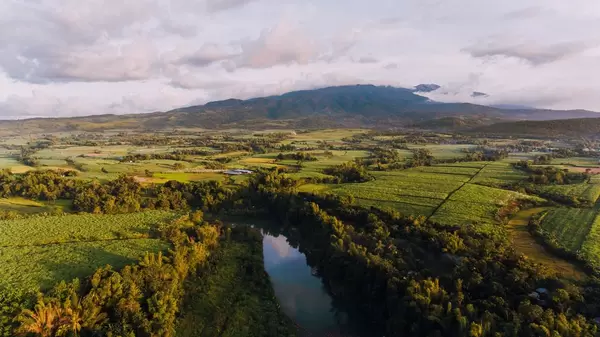 Sicht auf dem Kanlaon Vulkanberg über die Zuckerrohrfelder in Negros Occidental