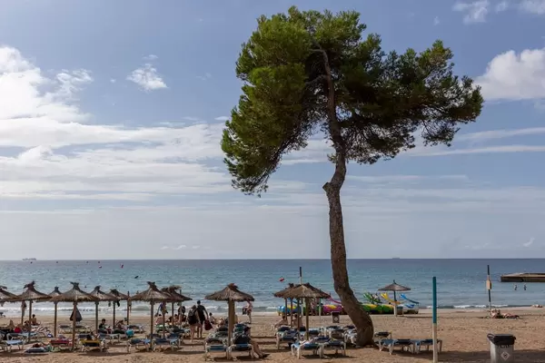 Sicht auf den Strand mit Sonnenschirmen in Peguera auf Mallorca
