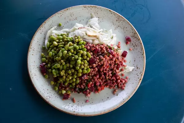 Sicht von oben auf ein ausgewogenes Mittagessen, mit grünen Linsen, roter Beete, Fenchel-Apfel und den Sojabohnen Edamame