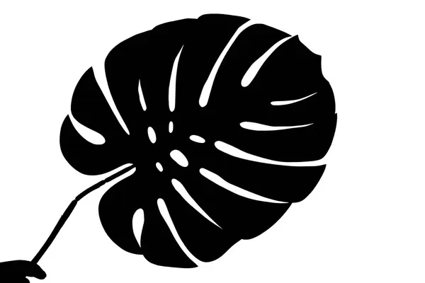 Silhouette of a big palm leaf