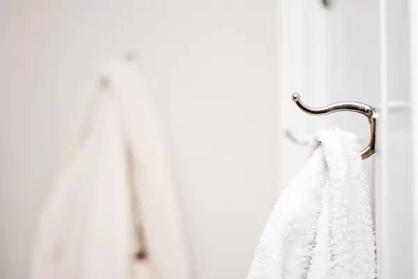Silver Hook with Towel