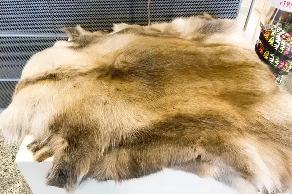 Skandinavisch Souvenirs: Rentierfelle