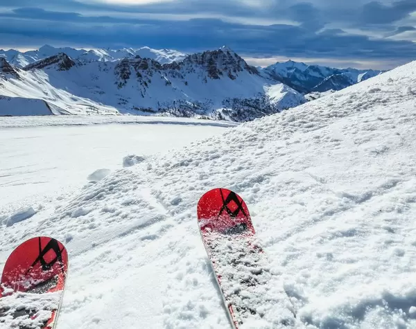 Skiing in high mountains at sunny day  Flip 2019