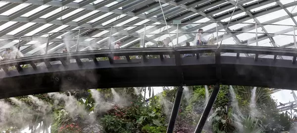 Skywalk in Cloud Forest