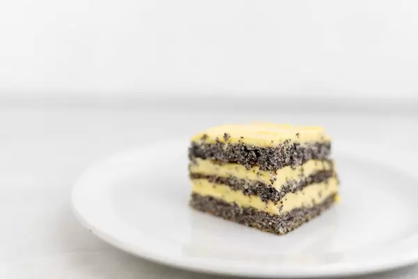 Slice of cake with Poppy Seeds served on the plate